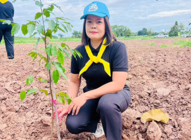 สำนักงานสหกรณ์จังหวัดสุโขทัย ... พารามิเตอร์รูปภาพ 11